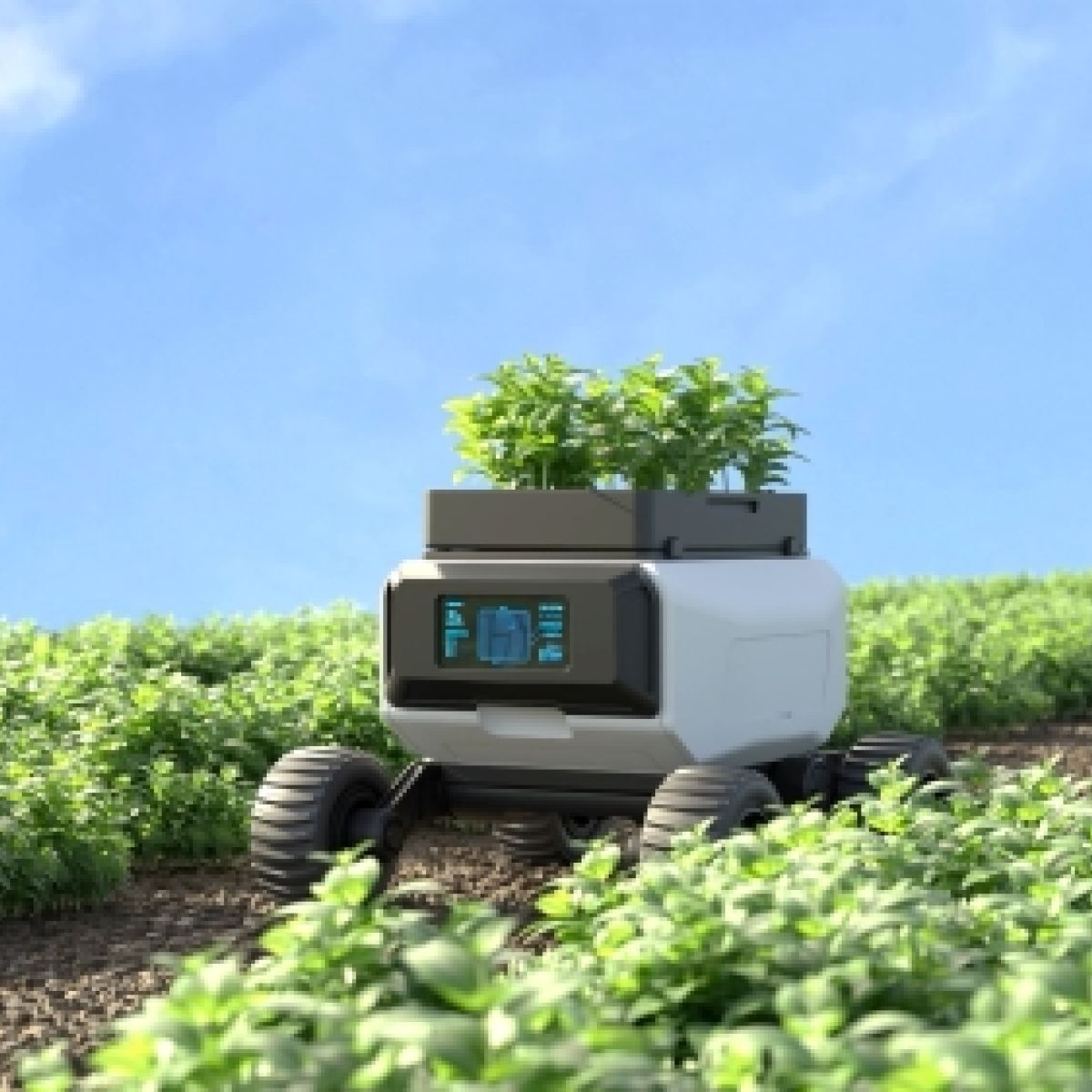 Robot-collaborativi-per-l-agricoltura